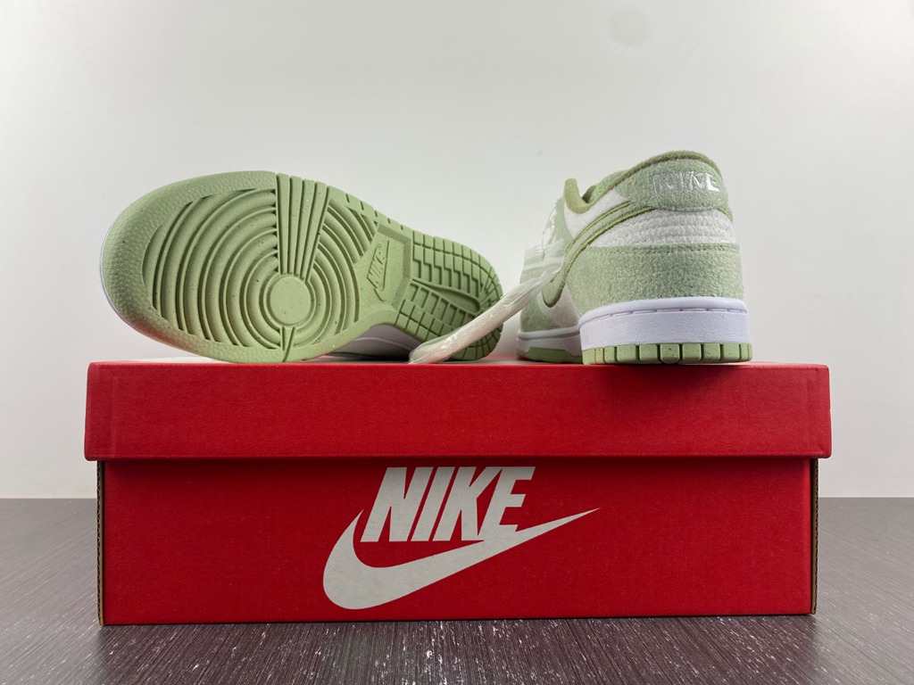 Dunk Low SE DQ7579-300